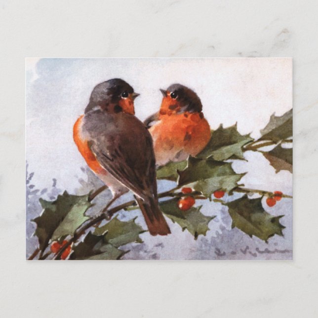 Catherine Klein: Robins on Holly Postcard (Front)