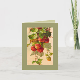 Catherine Klein strawberries NOTE CARD DKGR