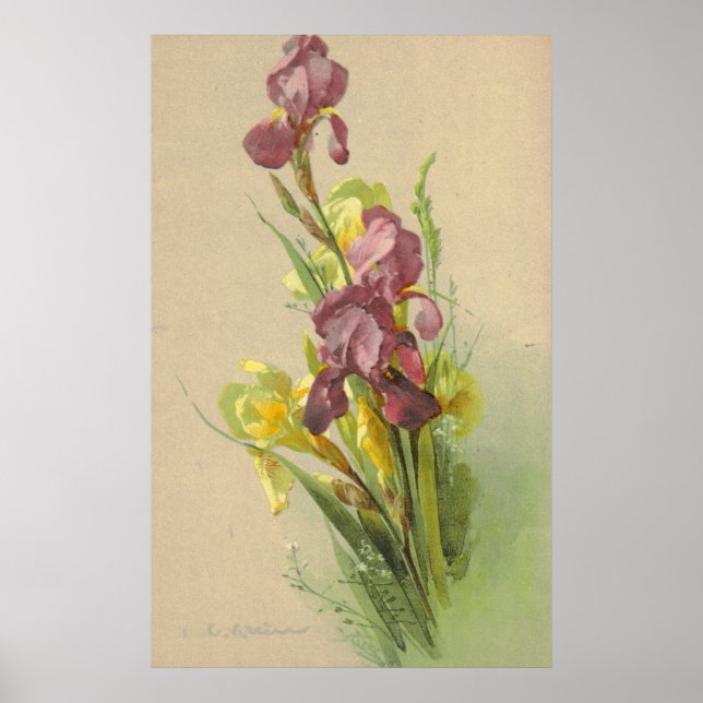 Catherine Klein Vintage Litho Reproduction Canvas Poster (Front)