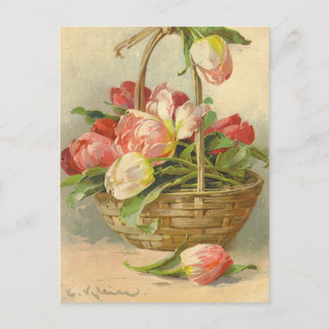 Catherine Klein Vintage Postcard Reproduction (Front)