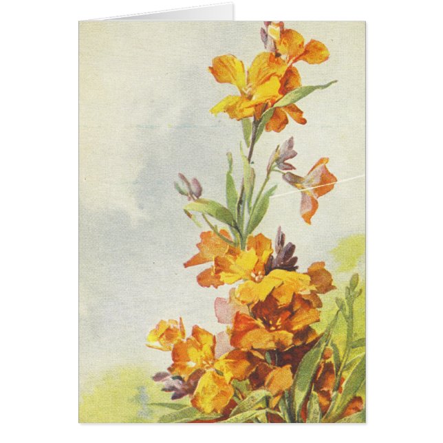 Catherine Klein Vintage Postcard Reproduction Card (Front)