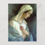 Catholic Blessed Virgin Mary with Rose Postcard<br><div class="desc">This is a beautiful vintage traditional Catholic image of the  Blessed Virgin Mary holding a pink rose. Lovely pink roses are on the back.</div>