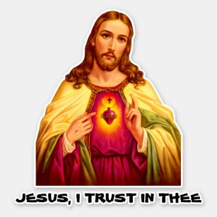 Catholic Sacred Heart Divine Mercy Merciful Jesus
