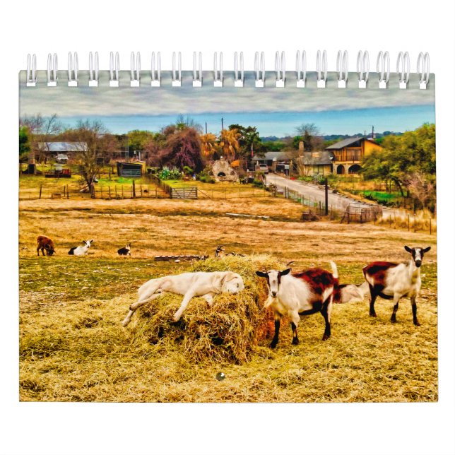 Cathy P. Jones 2020 Calendar (Cover)