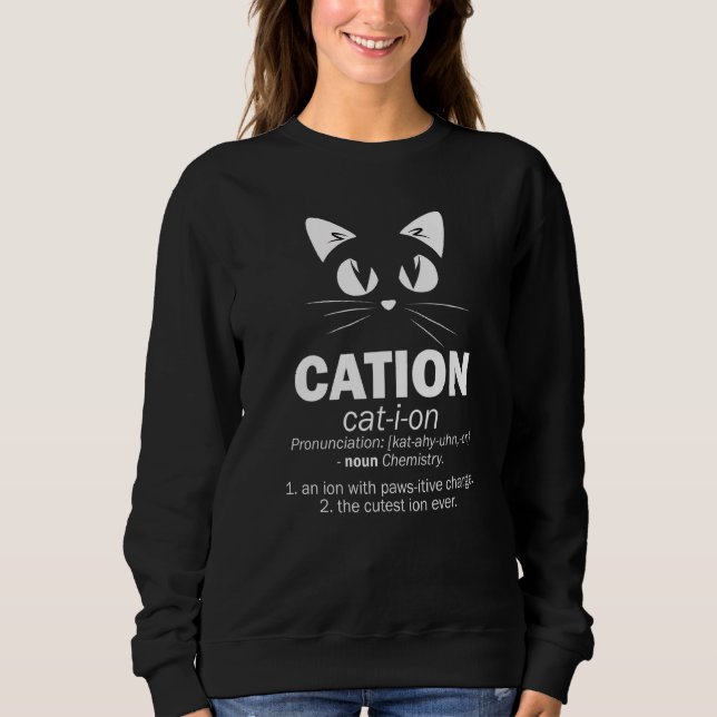 Cation Cat I On Cat Security And Protect Present 1 Sweatshirt (Front)