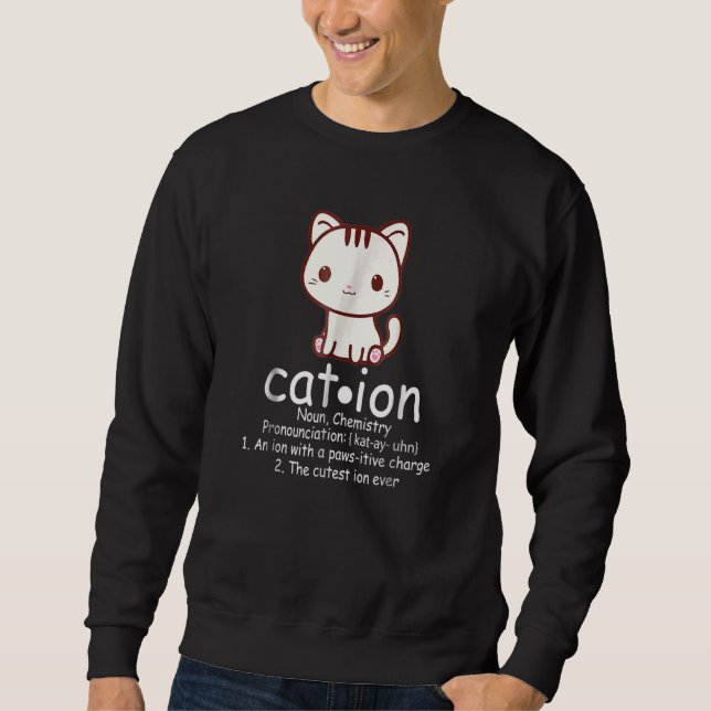 Cation Cat Ion Science Pawsitive Pun Chemistry Sweatshirt (Front)