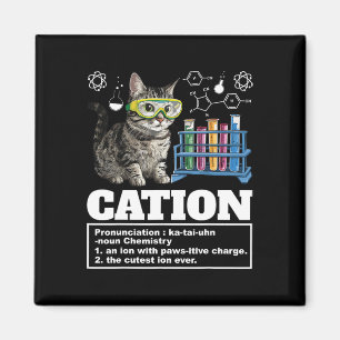 Cation Chemistry Humour Science Teacher Cat Pun Ca Magnet
