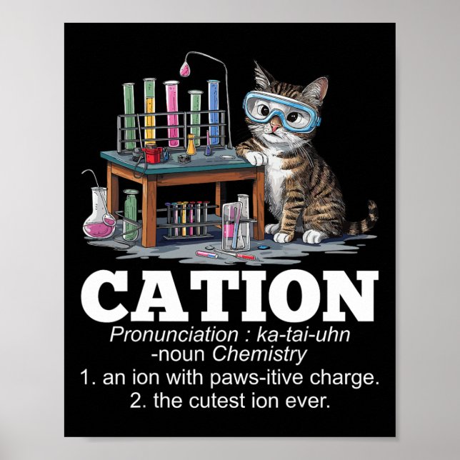 Cation Chemistry Humour Science Teacher Cat Pun Fu Poster (Front)
