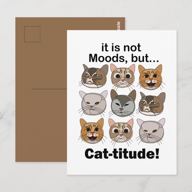 Catitude Cat Moods Cat Lovers Postcard (Front/Back)