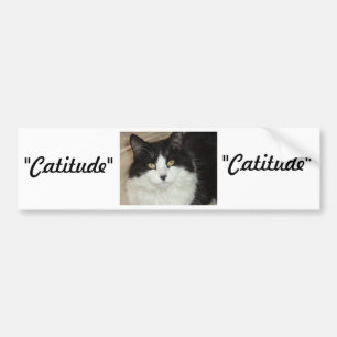 Catitude Cat with an Attitude Bumper Sticker
