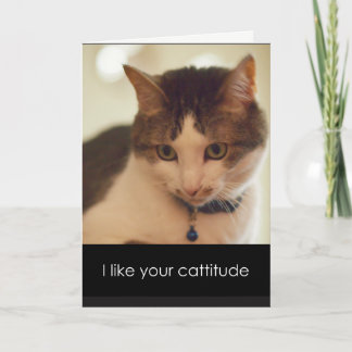 Catitude Valentine's Day Card