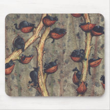Catkins
