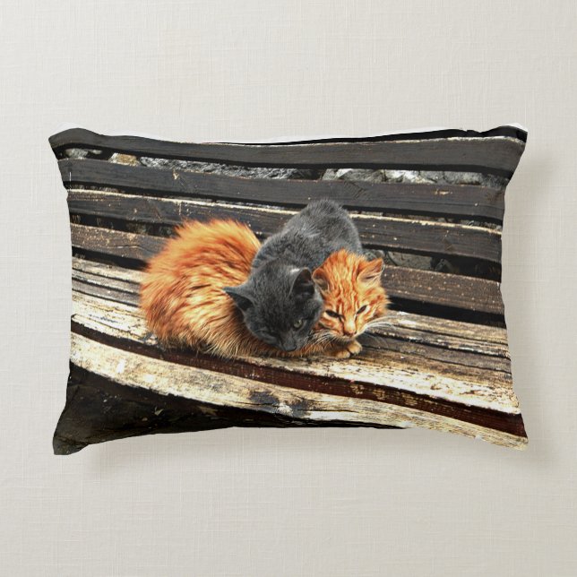 Catnap Cuties Decorative Pillow (Front)