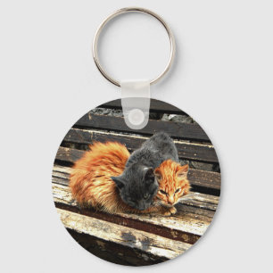 Catnap Cuties Keychain