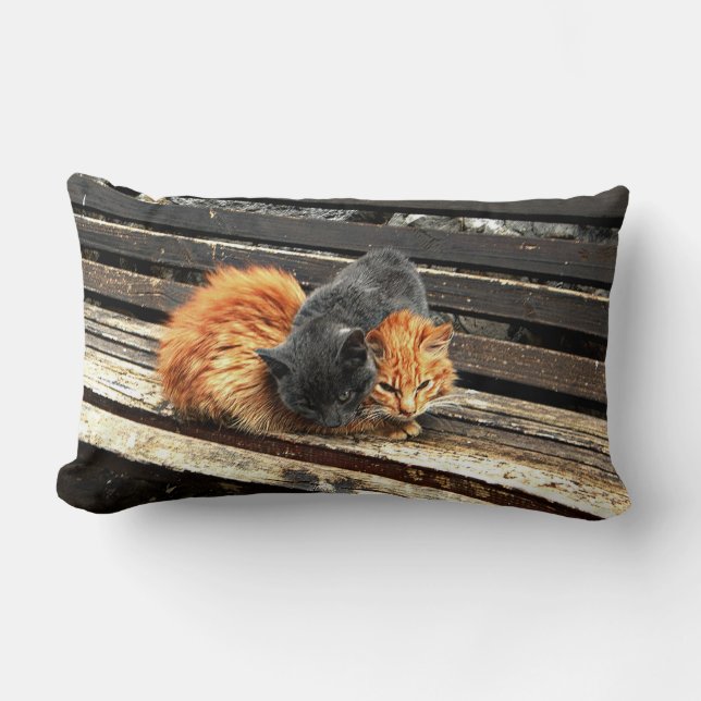 Catnap Cuties Lumbar Pillow (Front)