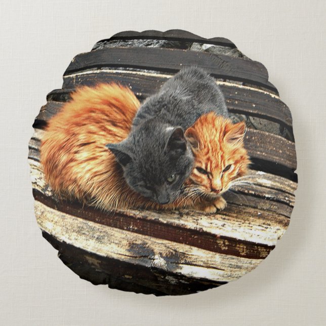 Catnap Cuties Round Pillow (Front)