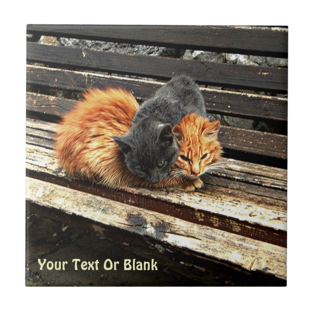 Catnap Cuties Tile (Front)