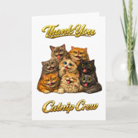 Catnip Crew Cute Silly Goofy Cat Faces Thank You