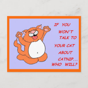 Catnip Kitty Postcard