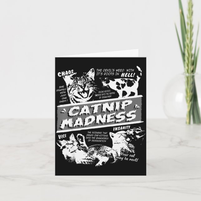 Catnip Madness Cute Kitten Funny Cat Pet Humor  Card (Front)