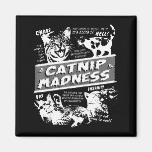 Catnip Madness Cute Kitten Funny Cat Pet Humor  Magnet