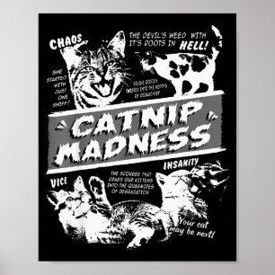 Catnip Madness Cute Kitten Funny Cat Pet Humor  Poster