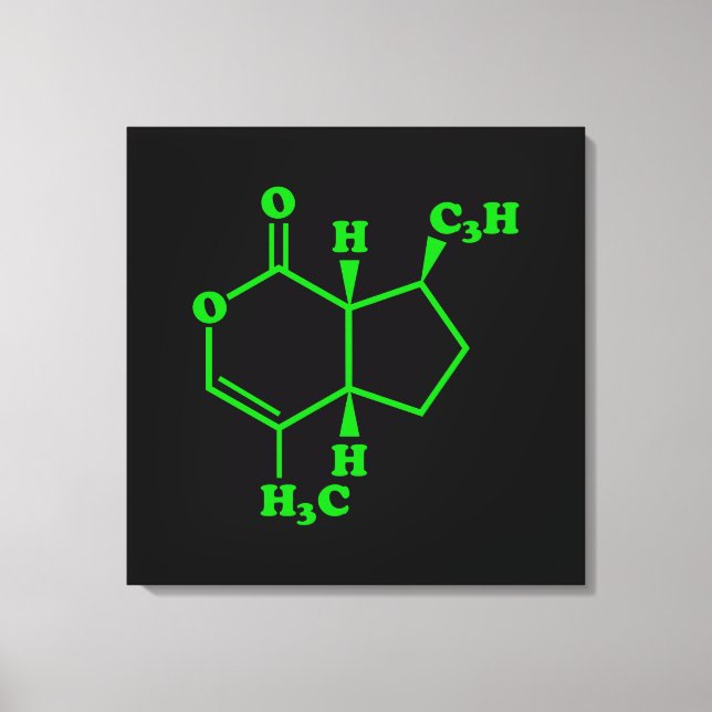 Catnip Nepetalactone Molecular Chemical Formula Canvas Print (Front)