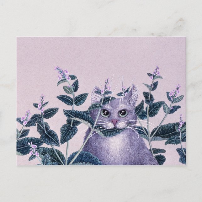 Catnip Postcard (Front)