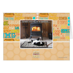 Catnuts roasting