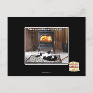 Catnuts roasting postcard