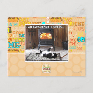 Catnuts roasting postcard