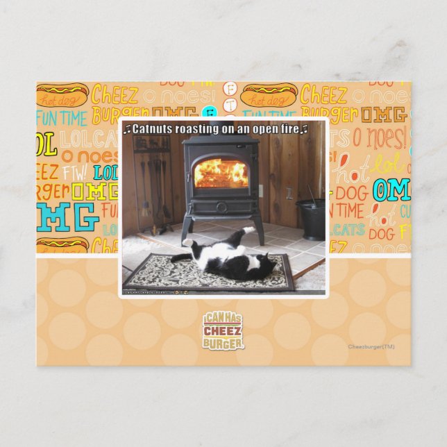Catnuts roasting postcard (Front)