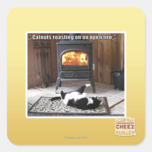 Catnuts roasting square sticker
