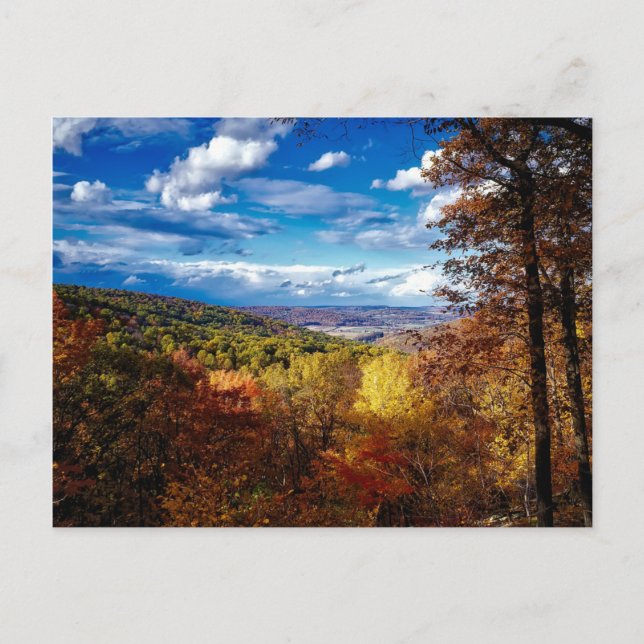 Catoctin Mountains, Maryland Postcard (Front)