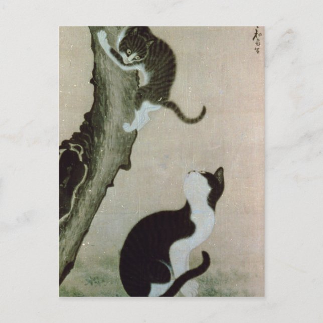 Cats, 17th century (ink on silk) postcard (Front)