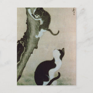 Cats, 17th century (ink on silk) postcard
