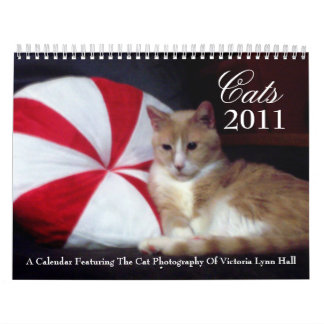 Cats 2011 Calendar