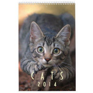 Cats 2014 - A Calendar for Cat Lovers