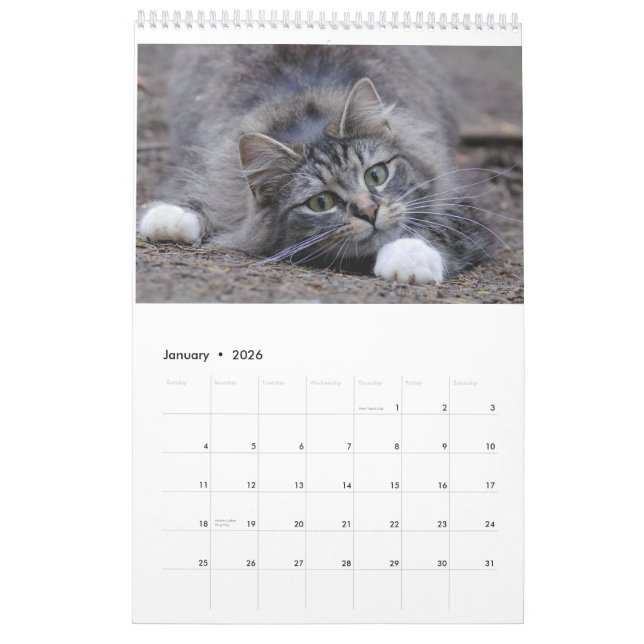 Cats 2014 - A Calendar for Cat Lovers (Jan 2026)