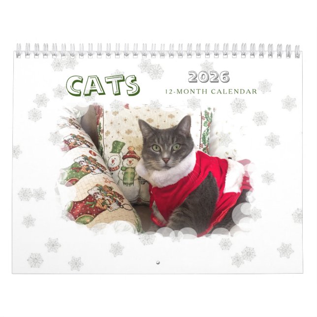 Cats 2024 Calendar (Cover)