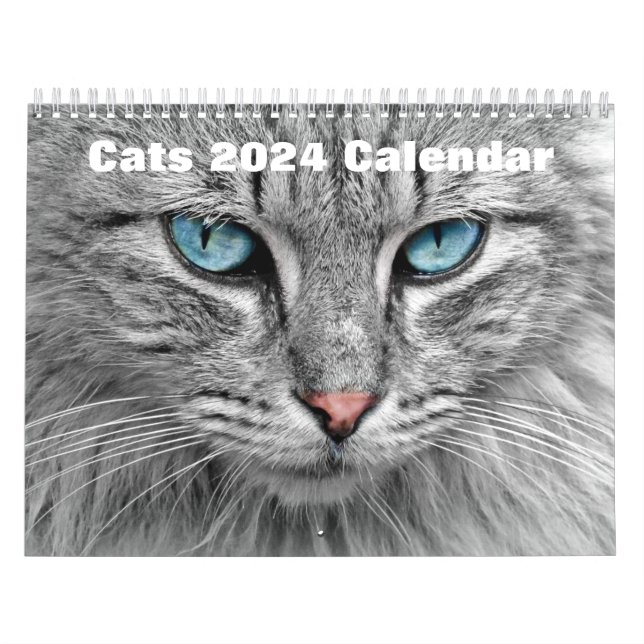 Cats 2024 calendar (Cover)