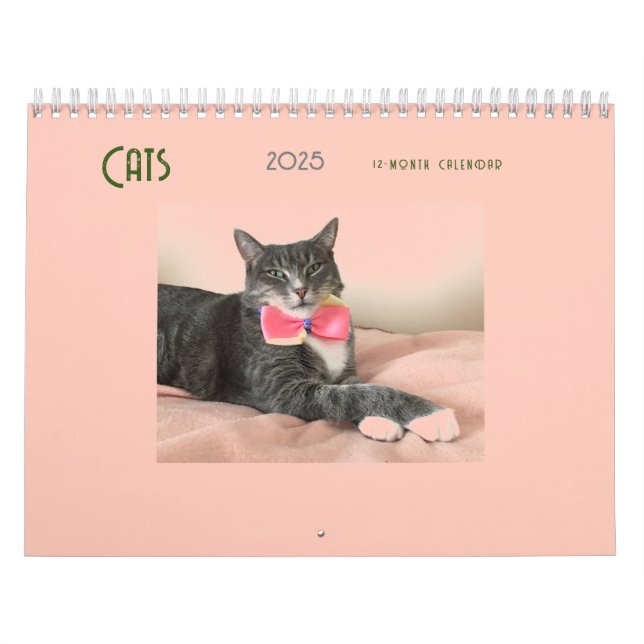 Cats 2025 Calendar (Cover)