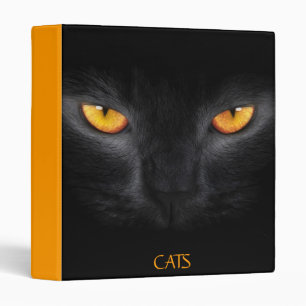 CATS 2 BINDER