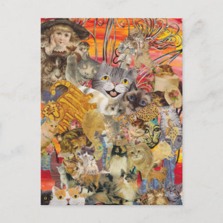 Cats a Plenty postcards