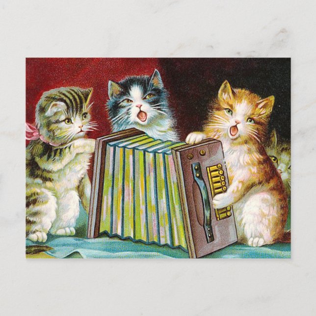 "Cats and a Squeezebox" Postcard (Front)