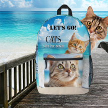 Cats and Beach Colourful Photo