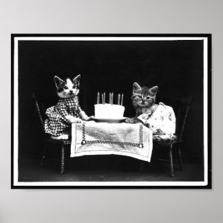 Cats and Birthday Cake Antique Photo Poster