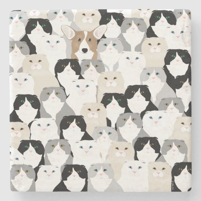 Cats and Dog Stone Coaster (Front)