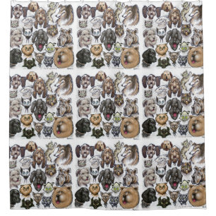Cats and Dogs