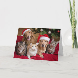 Cats and Dogs Christmas Folded Greeting Card